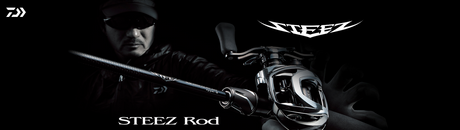 Daiwa Steez 2021 model