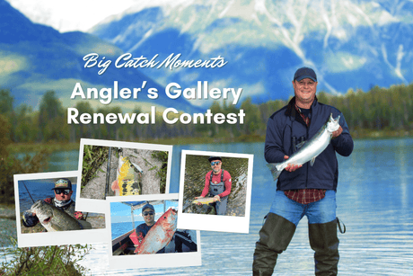 The Anglerās Gallery is Renewed, and Weāre Celebrating with a Contest!