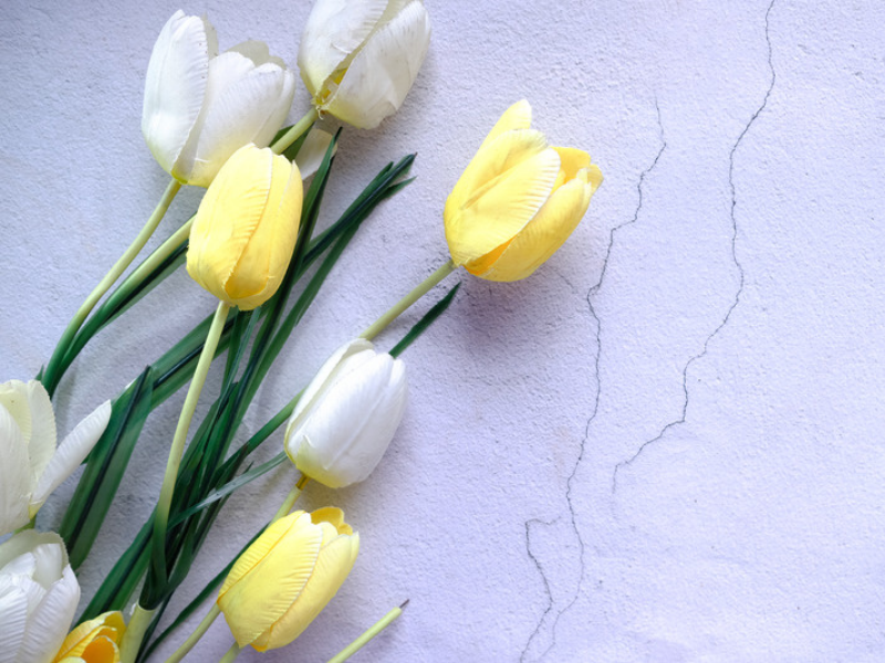 Notice of Office Closure in April