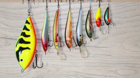 Top 3 Plug Lures for Bass Fishing