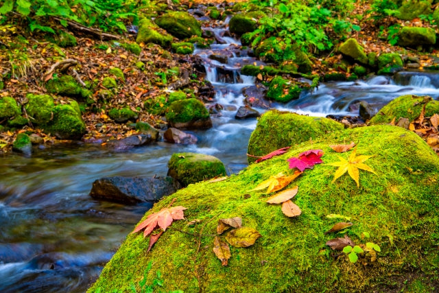 Notice of office closure on 3rd November