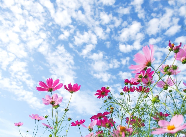 Notice of office closure in September