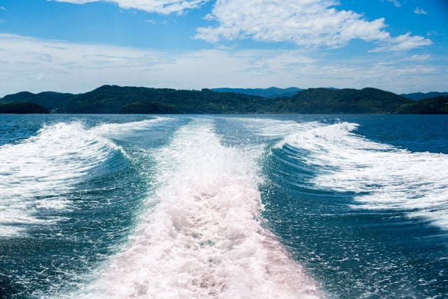 Offshore Travel Rods