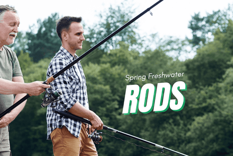 Spring Freshwater Fishing: Top Rods for the Season