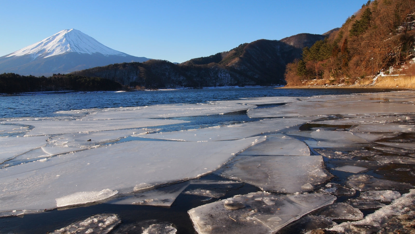 Notice of Office Closure in February