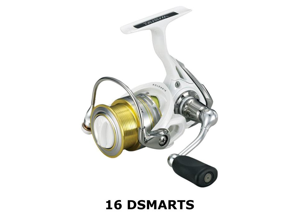16 DSMARTS