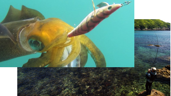 Eging/Squid Jigging Game