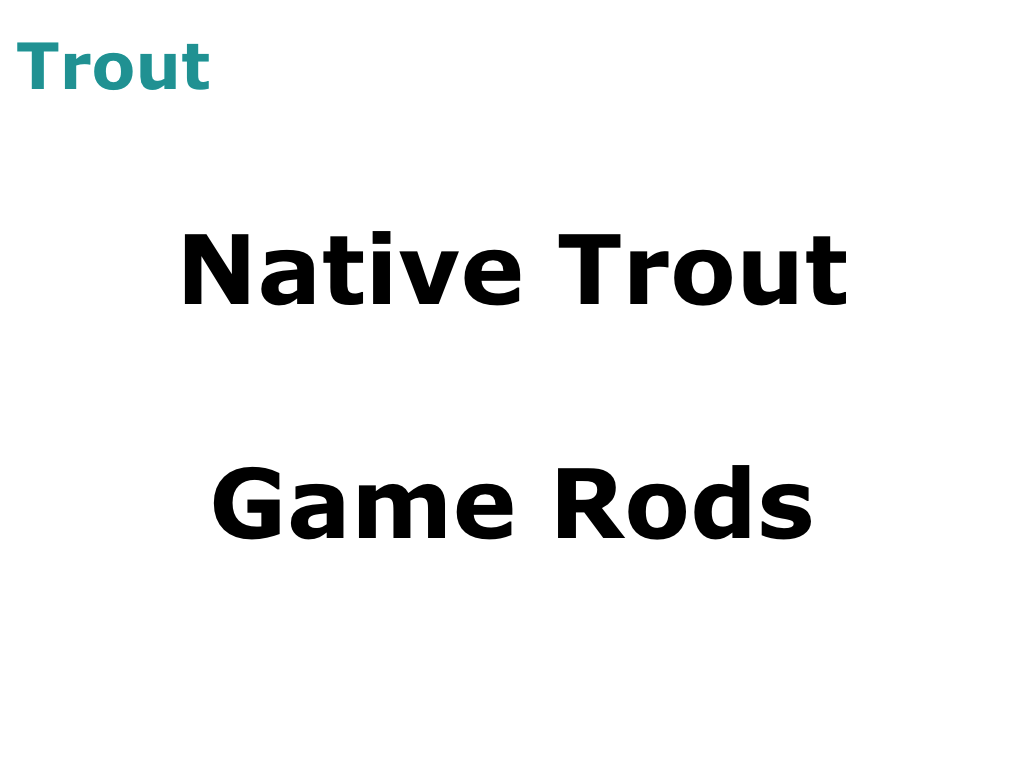 Native Trout Rods