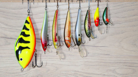 Catch of the Week: Top 3 Plug Lures for Bass Fishing