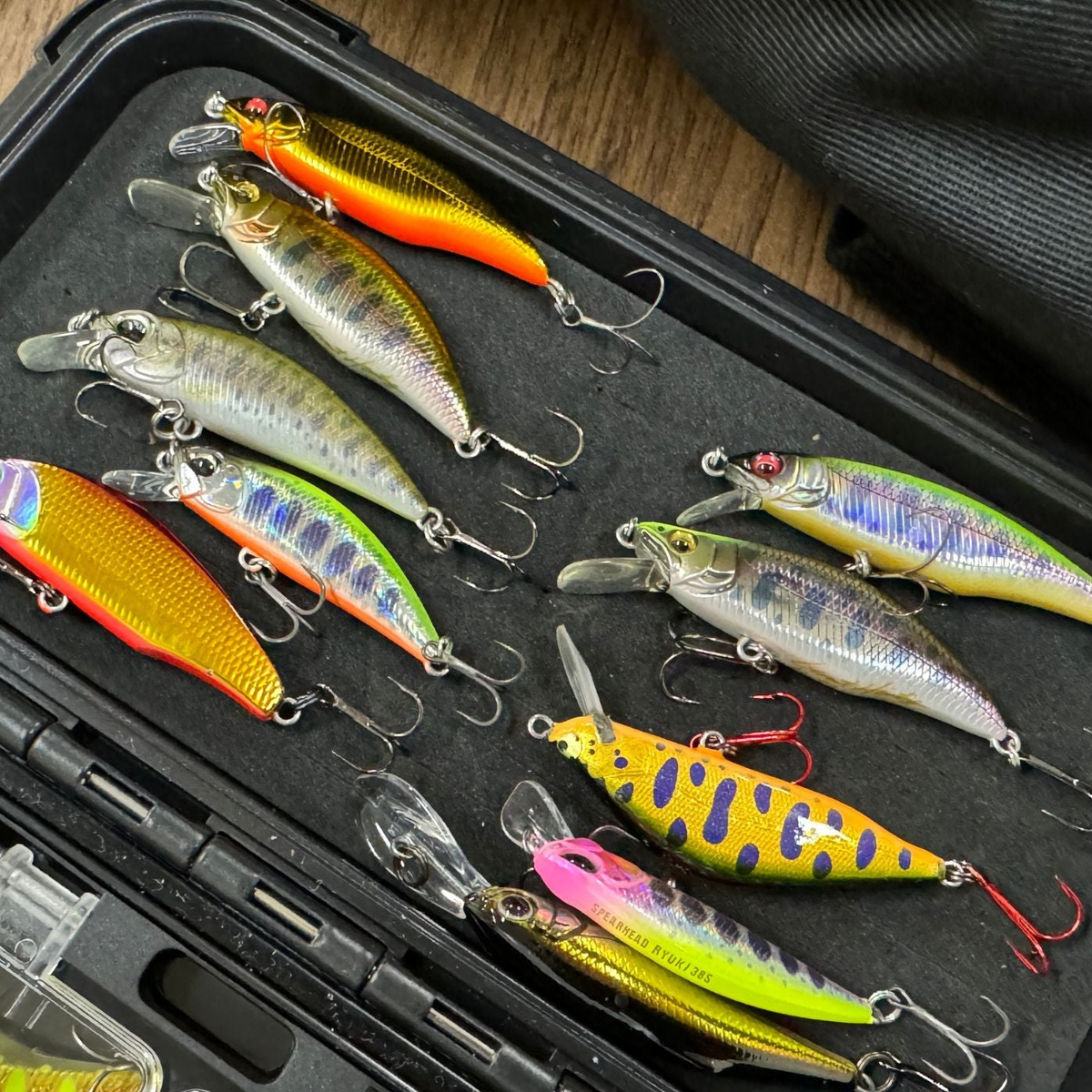 B*様 mon Thunderball 26 xs ダージャン B*様 mon Thunderball 26 xs B*様 mon Thunderball 26 xs ダージャン B*様 mon Thunderball 26 xs