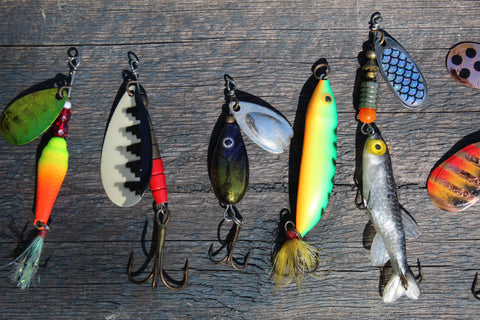 Catch of the Week: BIG BAIT