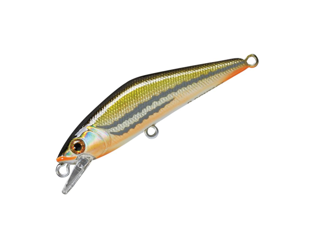 Smith D-Contact 50 #31 Ugui