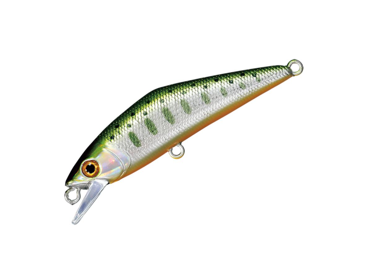 Smith D-Contact 50 #51 Green Yamame