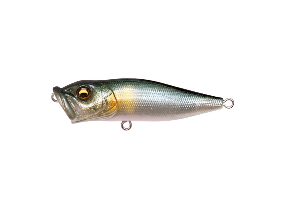 Megabass POP X #FA Waka Ayu