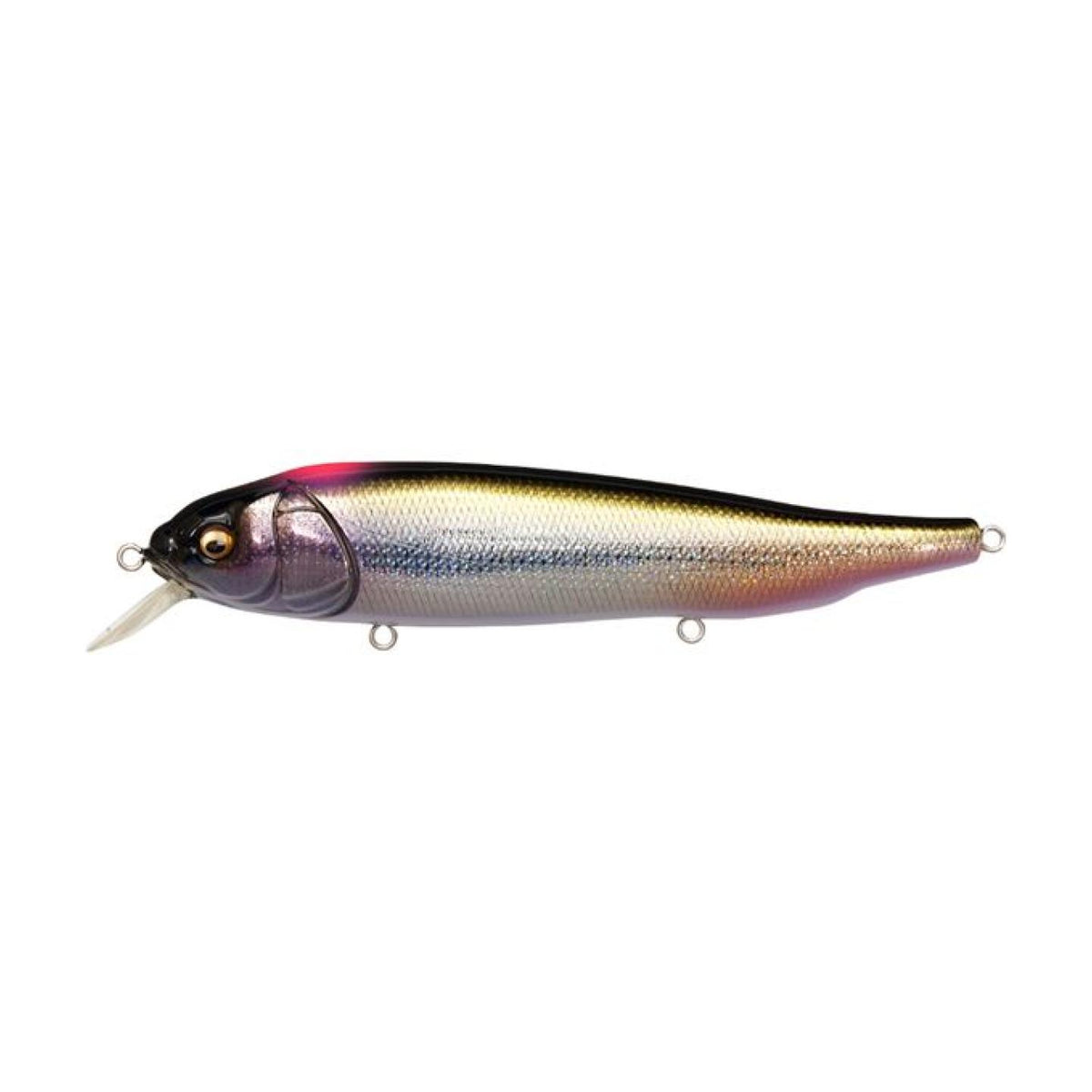 Poisson nageur MEGABASS Lates feedingwoofer FA Kawamutsu - Leurres durs Poisson nageur MEGABASS Lates feedingwoofer FA Kawamutsu - Leurres durs