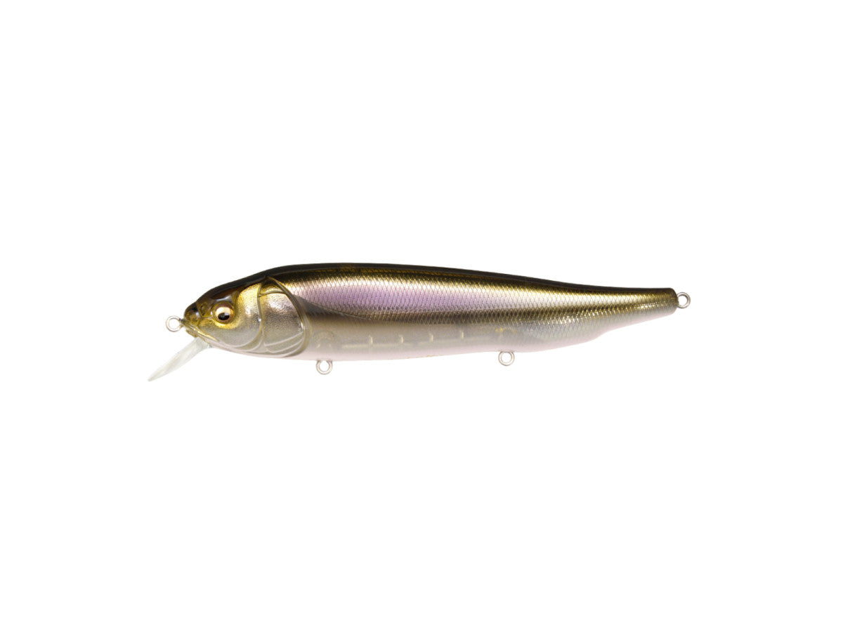 Megabass Lates Feeding Woofer #HT Wakasagi
