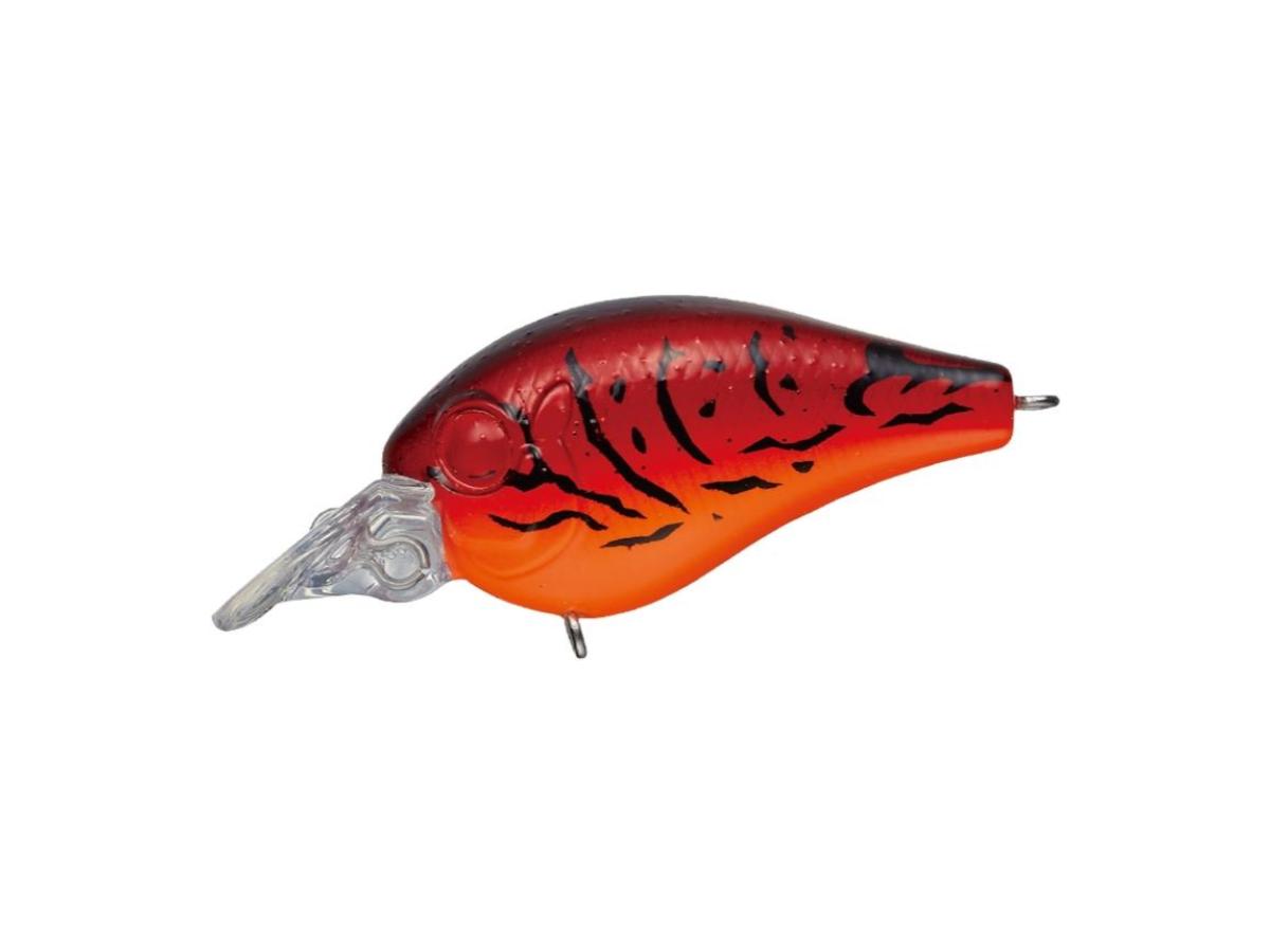 Evergreen Piccolo Dive Shallow