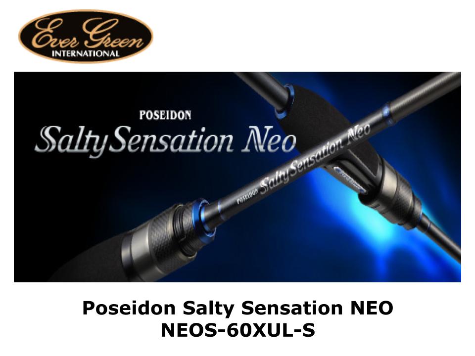 エバーグリーン ソルティーセンセーション NEOS-610UL-S 新品同様 - ロッド
