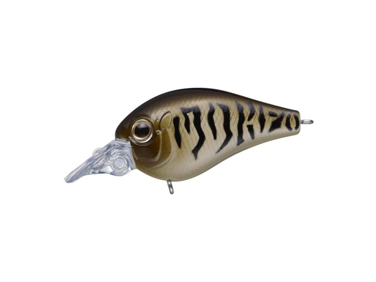 Evergreen Piccolo Dive Shallow