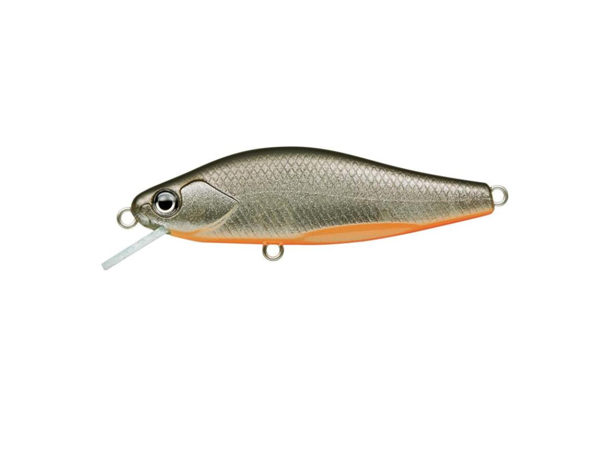 Evergreen Nelmezzo 50FS #19 Ginpun Black Back