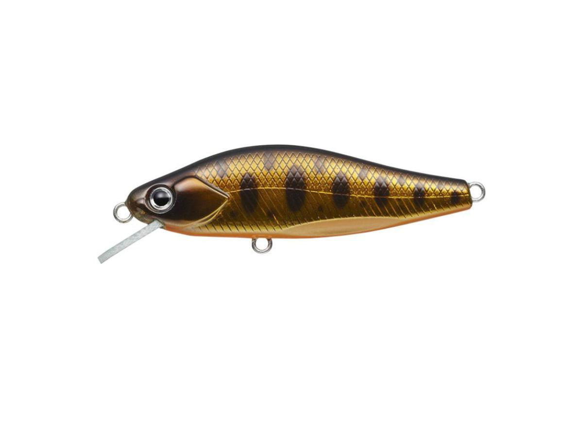 Evergreen Nelmezzo 50FS #31 Kin Kuro Yamame