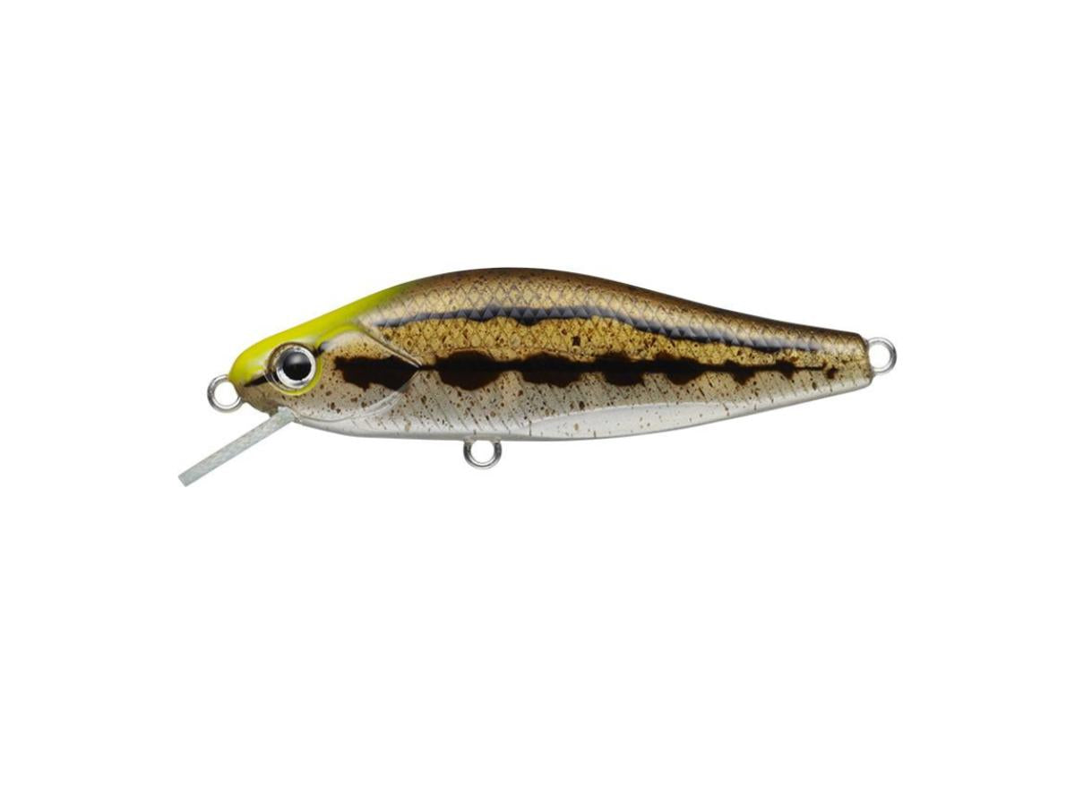 Evergreen Nelmezzo 50FS #33 Dojou