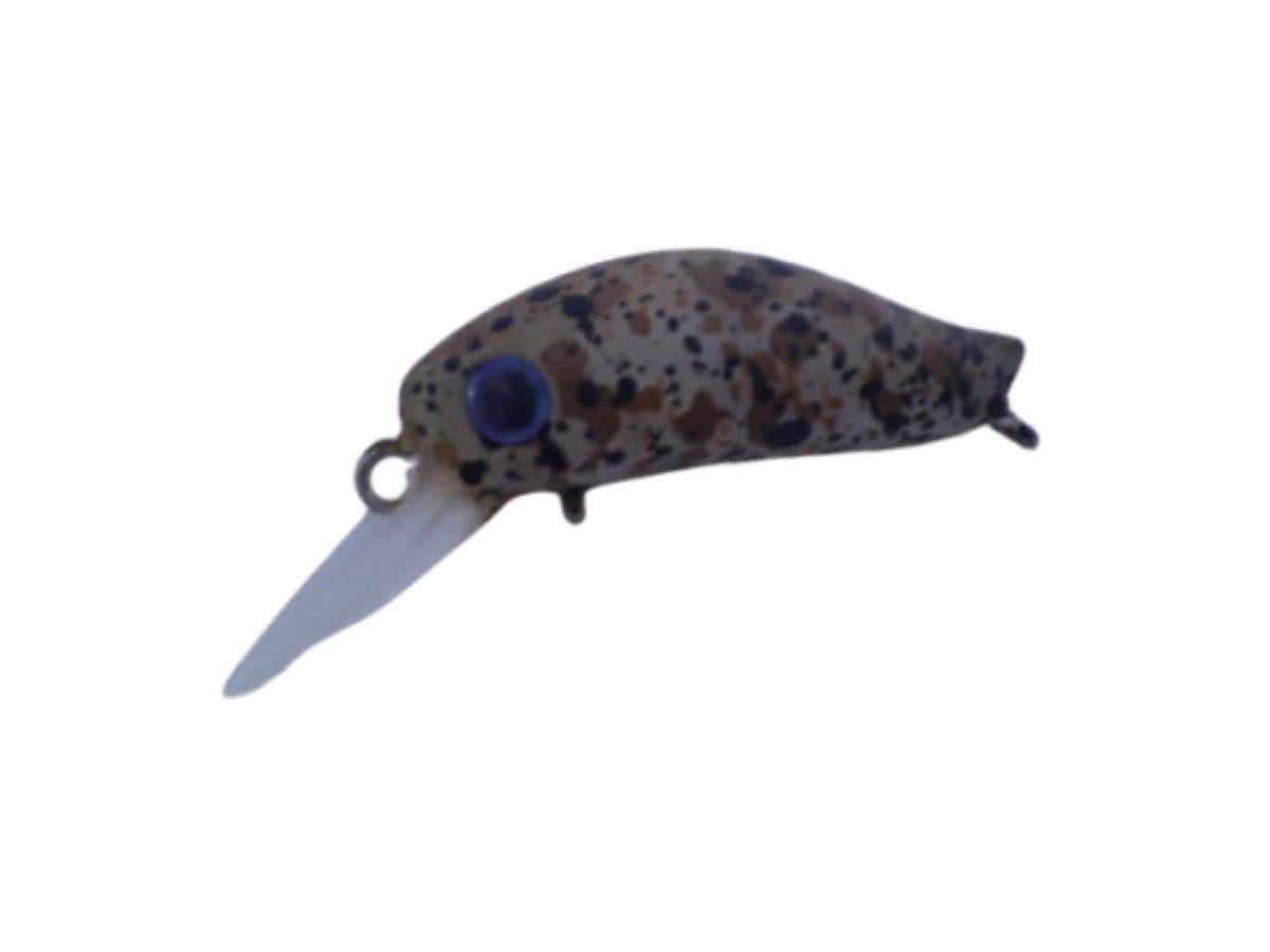 Daysprout Pico Pico Eagle Player MS