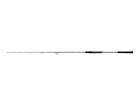 Daiwa Saltiga J TS 55S-4