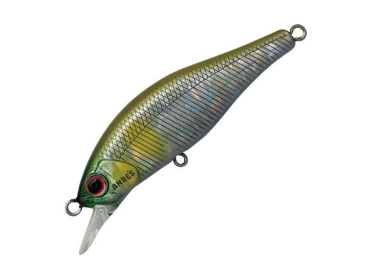 Palms Alexandra 50HW #Abalone Ayu