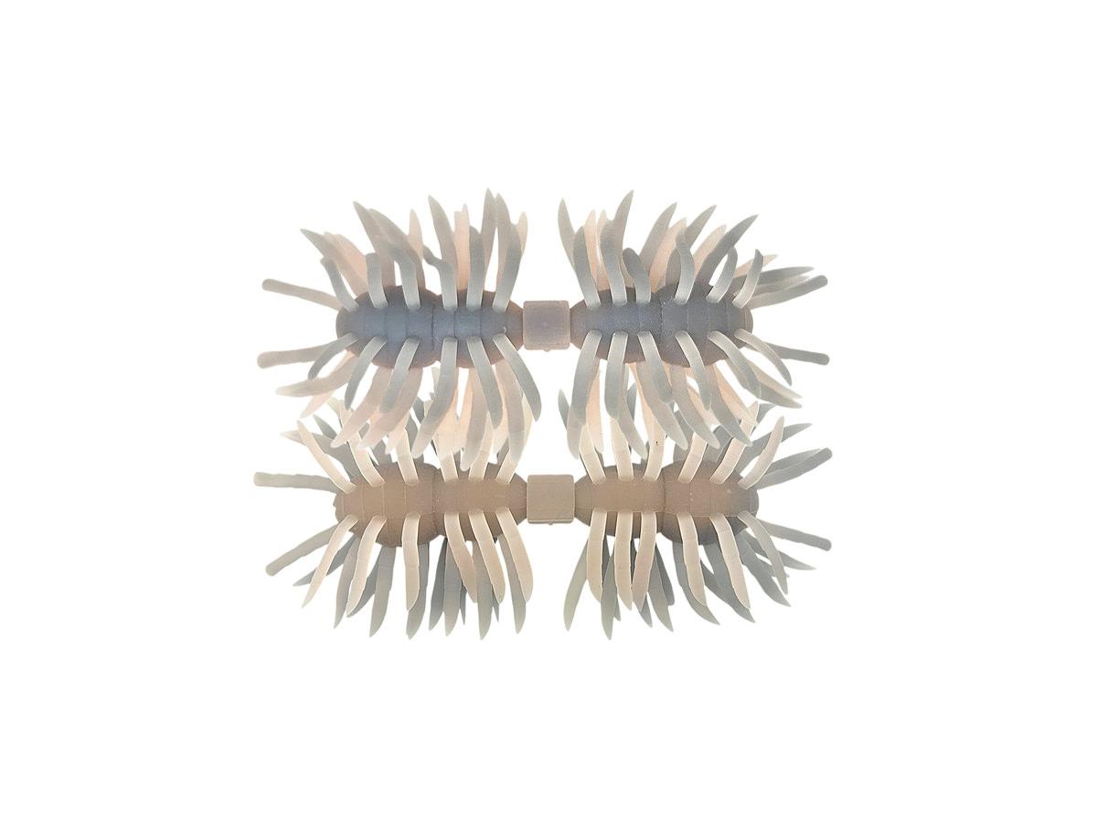 Imakatsu Hairy Spider Kujala 160mm #S-529 Ichikko