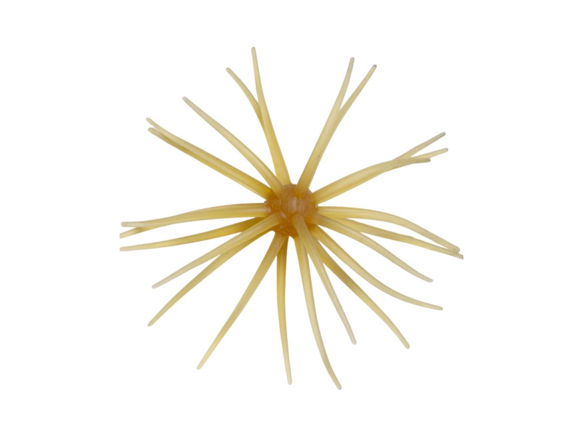 Hideup Kyu Coike Soft Material