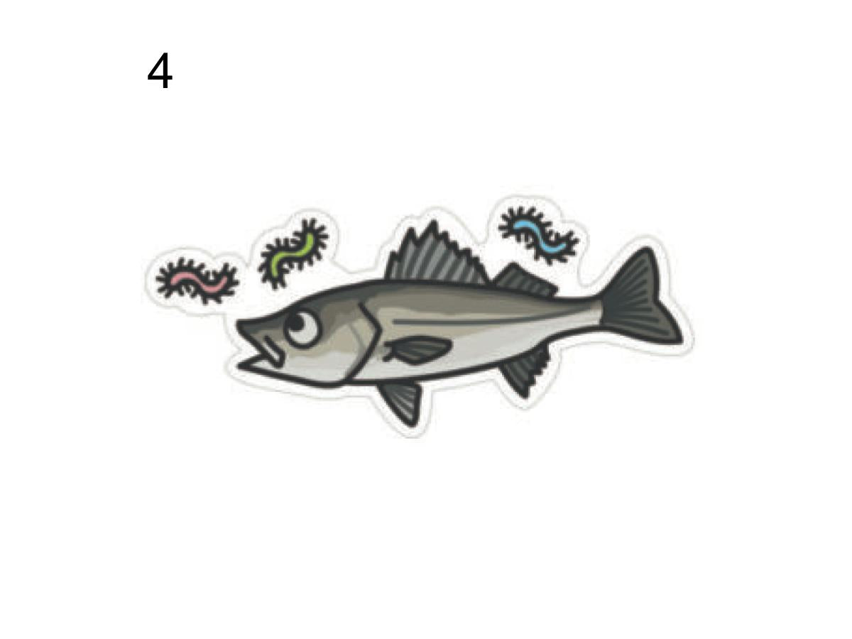 Hisao Design Sticker