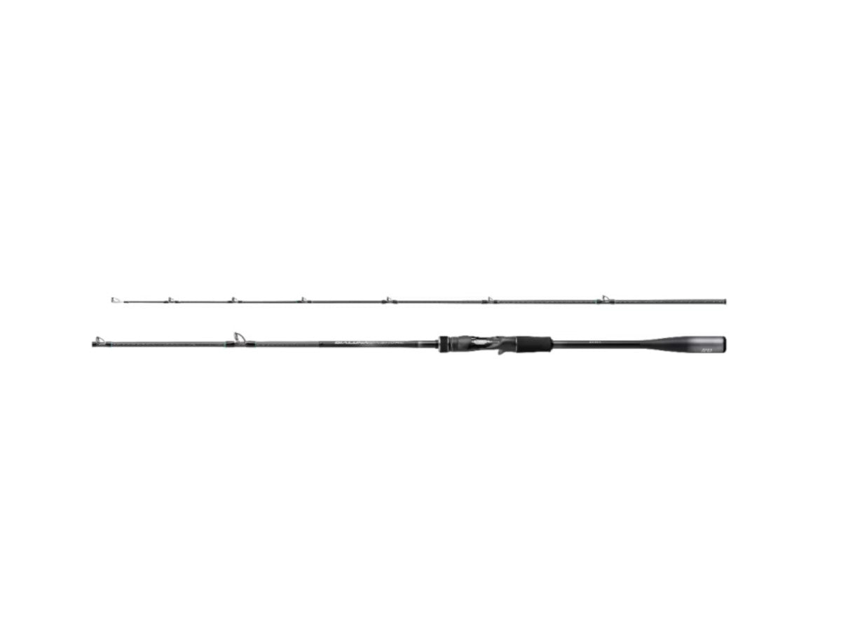 Shimano Dialuna Inshore B66H