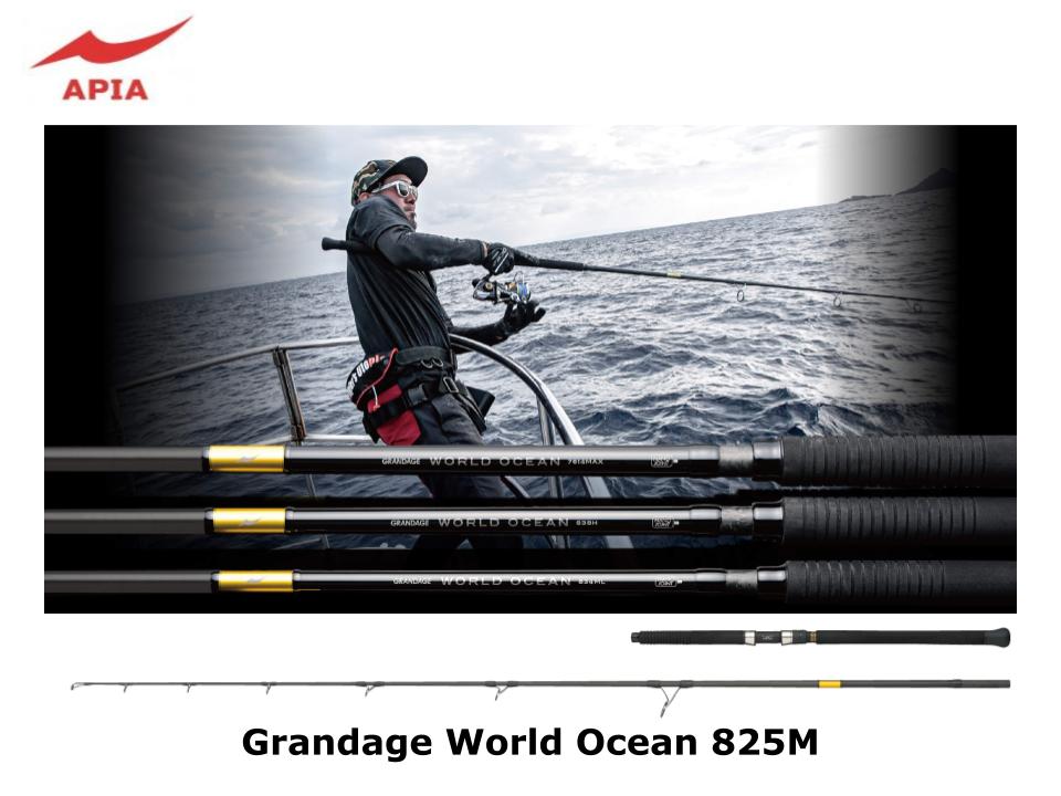 Canne à Pêche Spinning Apia Grandage STD 106MH - 10'6" - Pour Mer - Portée 14-50g - 2 Sections