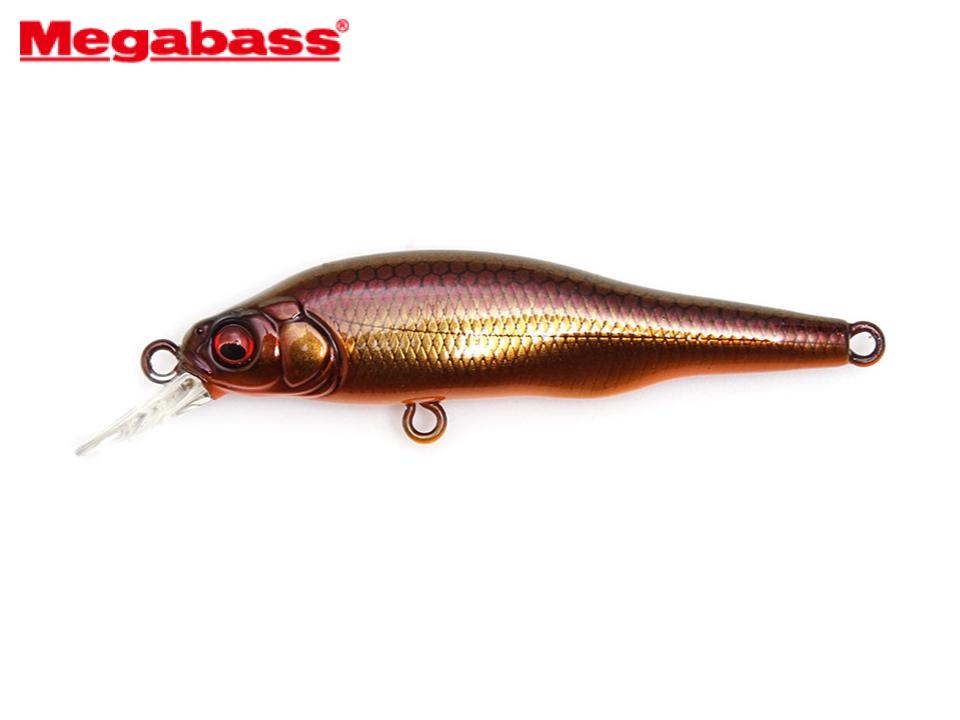 Megabass X 80 Jr. SP-C #Suigo Secret