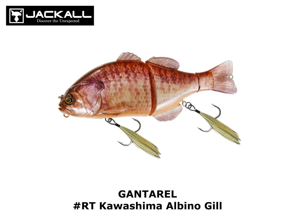 Jackall GANTAREL #RT Kawashima Albino Gill