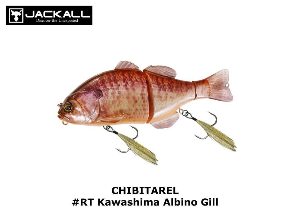 Jackall CHIBITAREL #RT Kawashima Albino Gill
