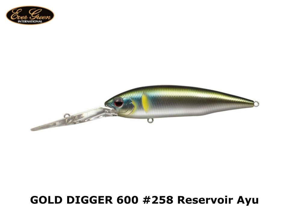 Evergreen Gold Digger 600 #258 Reservoir Ayu