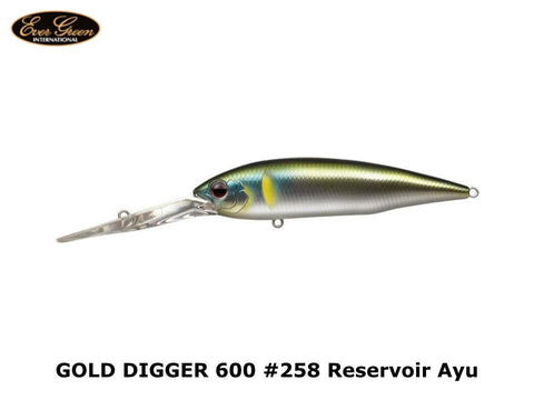Evergreen Gold Digger 600 #258 Reservoir Ayu