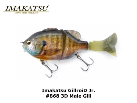 Imakatsu GillroiD Jr. #868 3D Male Gill