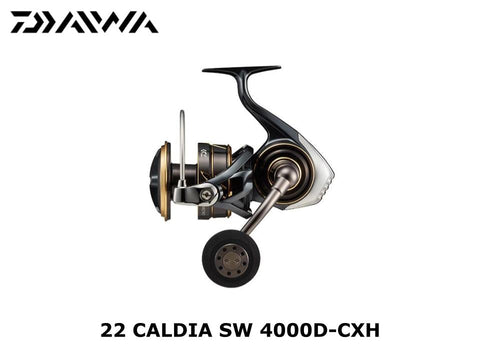 Daiwa 22 Caldia SW 4000D-CXH