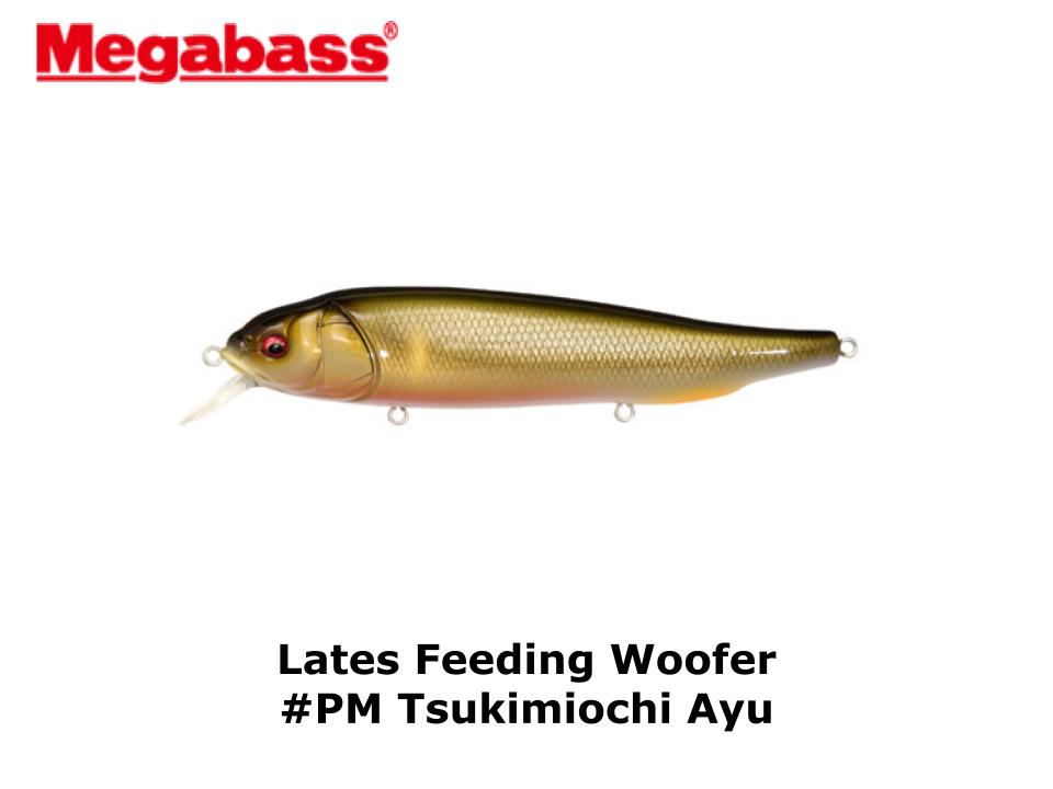 Leurre MEGABASS Lates Feeding Woofer TSUKIMI OCHI AYU - Leurres durs Carnassiers (12438578 Leurre MEGABASS Lates Feeding Woofer TSUKIMI OCHI AYU - Leurres durs Carnassiers (12438578