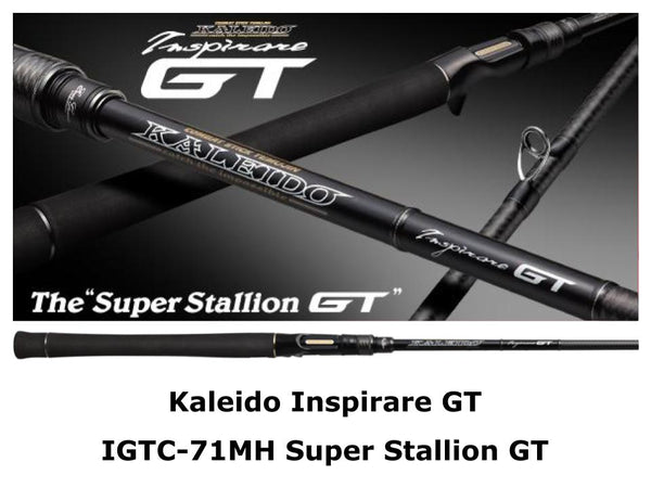 Canne Evergreen Kaleido Inspirare Cougar Elite GT IGTC-71MF-SXF - état C (occasion)