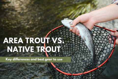 Choosing Between Area Trout and Native Trout: A Practical Guide