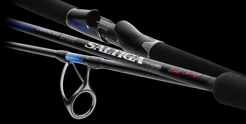 DAIWA 2024 Spring Release New Rods & Pre-order!