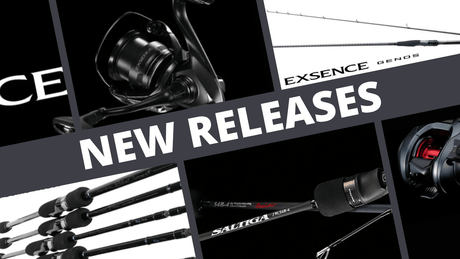 DAIWA MORETHAN AGS -SPINNING MODEL- – JDM TACKLE HEAVEN