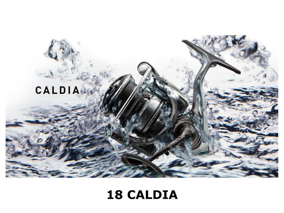 USED 18 CALDIA