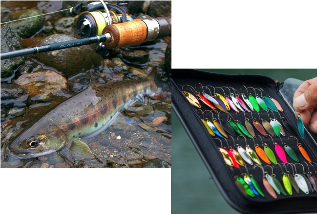 Trout Tackle Sale