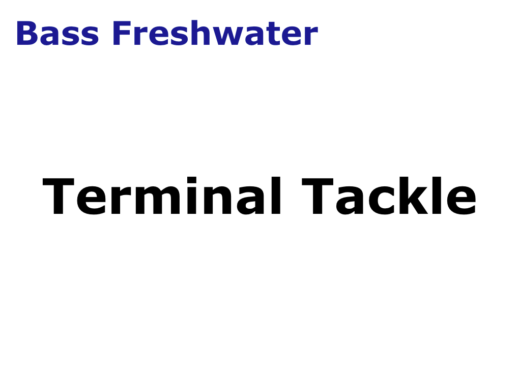 Bass Terminal Tackle