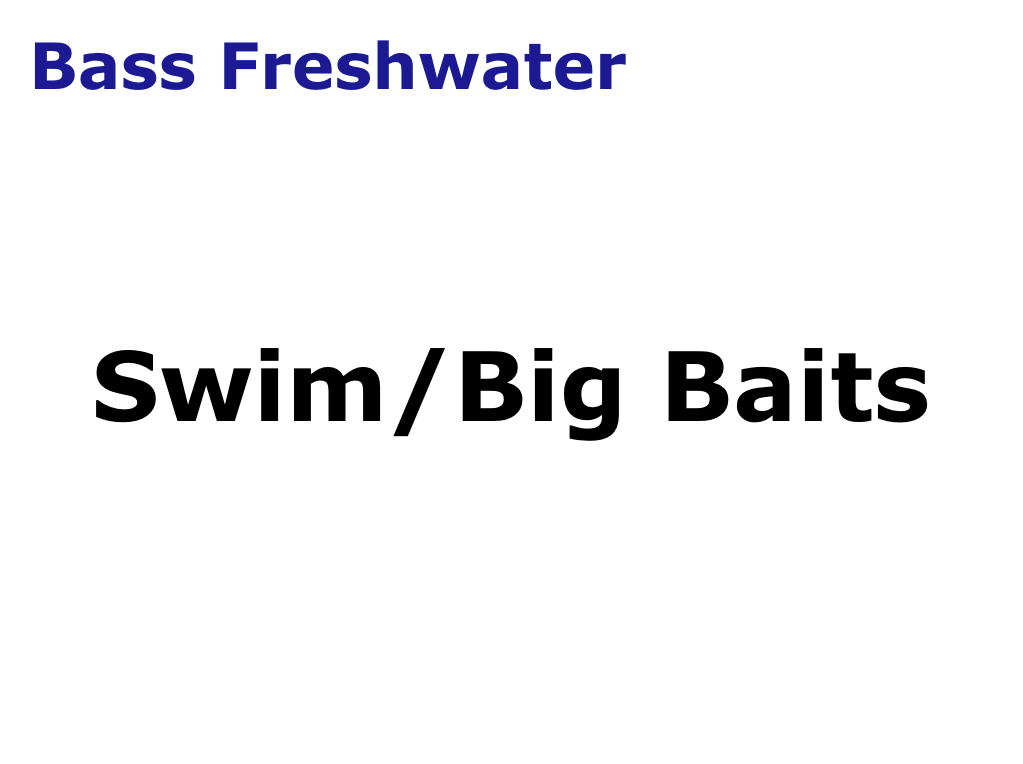 Bass Swimbaits